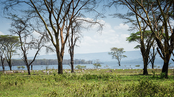 20130911_Kenya_0003-2
