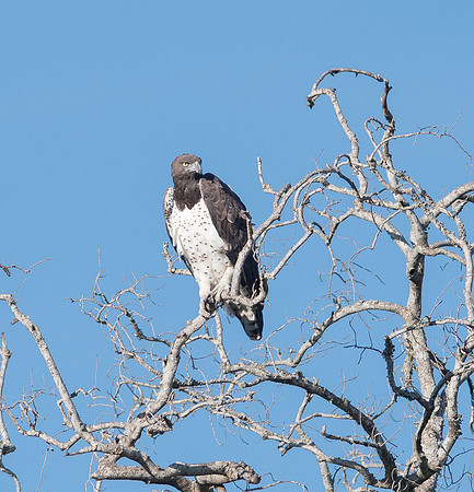 20130914_Kenya_0008-2