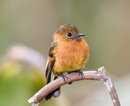 20150114_Ecuador_0022