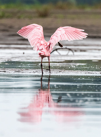 20150117_Ecuador_0010