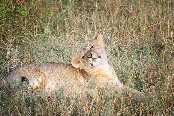 20130913_Kenya_0018-4