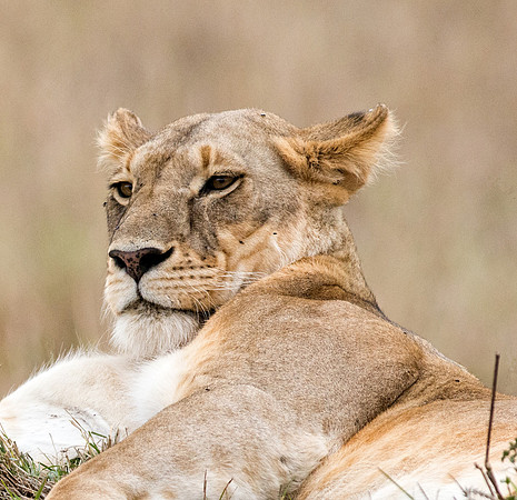 20130919_Kenya_0062