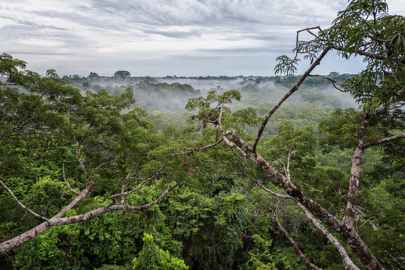 20150118_Ecuador_0011