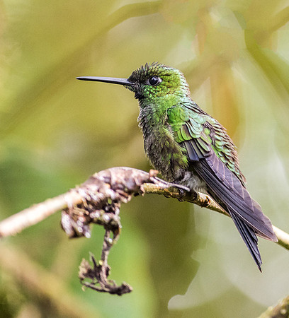 20150107_Ecuador_0004