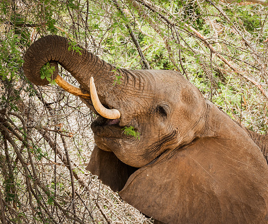 20130909_Kenya_0015