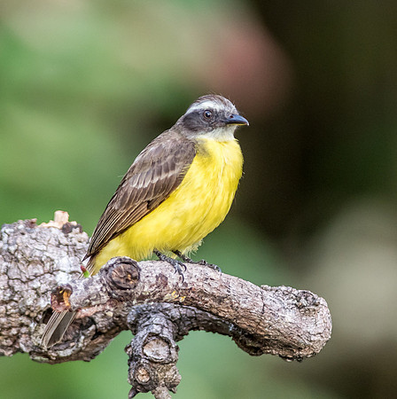 20150117_Ecuador_0020