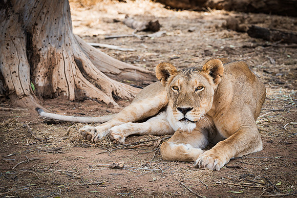 20130909_Kenya_0015-2