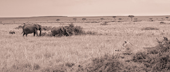 20130919_Kenya_0054