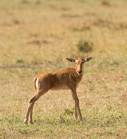 20130917_Kenya_0061