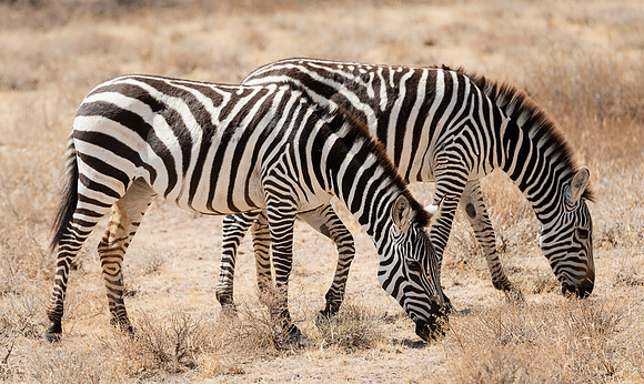 20130909_Kenya_0011-2