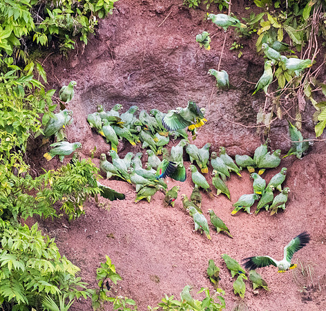 20150117_Ecuador_0005