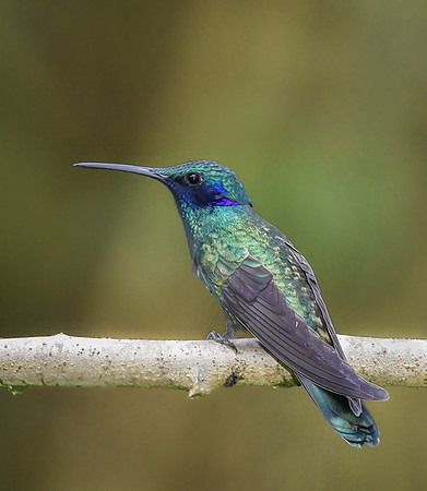 20150114_Ecuador_0026