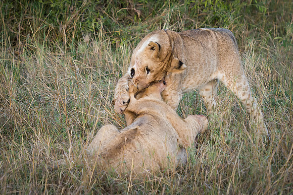 20130913_Kenya_0021-4