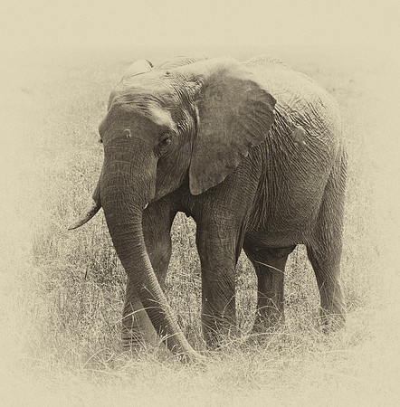 20130915_Kenya_0001