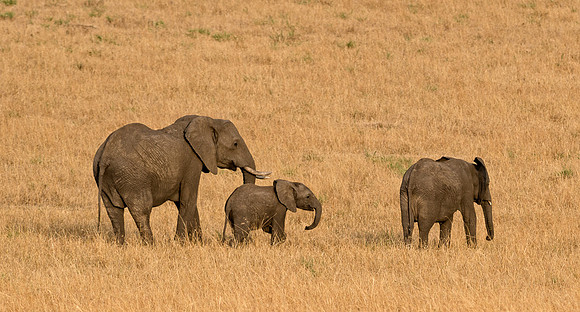 20130916_Kenya_0001