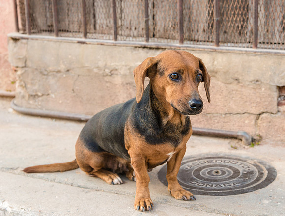 20140130_cuba_0255-2
