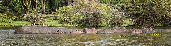 20130912_Kenya_0036