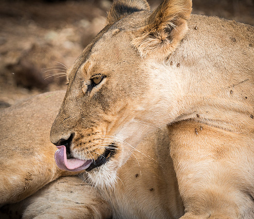 20130909_Kenya_0021-2