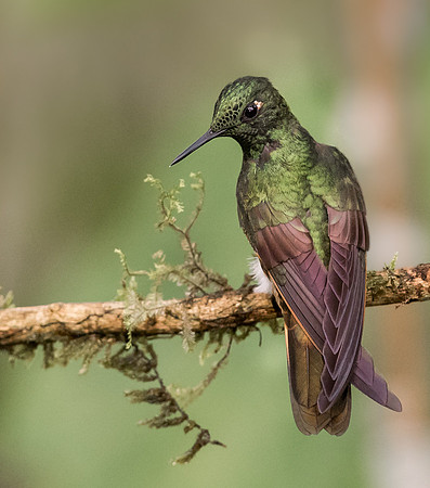 20150105_Ecuador_0001
