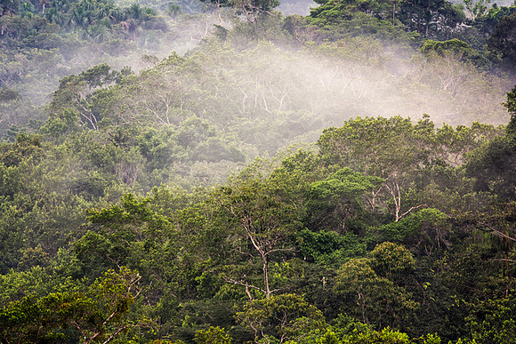 20150118_Ecuador_0012