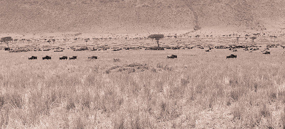 20130919_Kenya_0018
