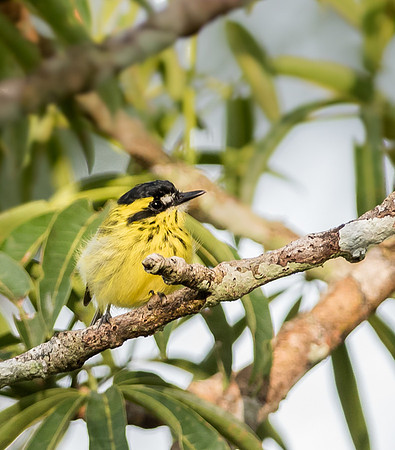 20150116_Ecuador_0004