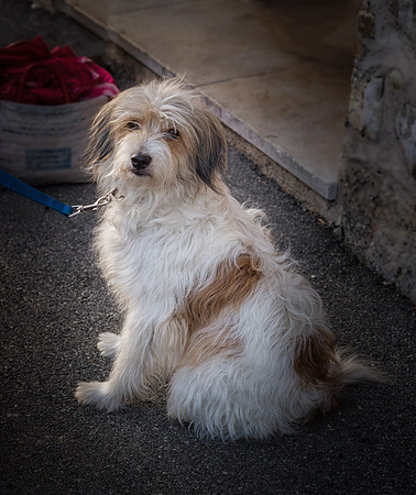 20140623_France_0065