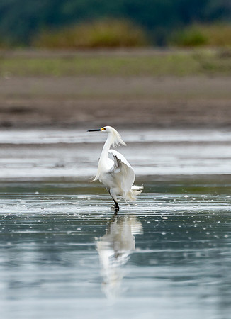 20150117_Ecuador_0008