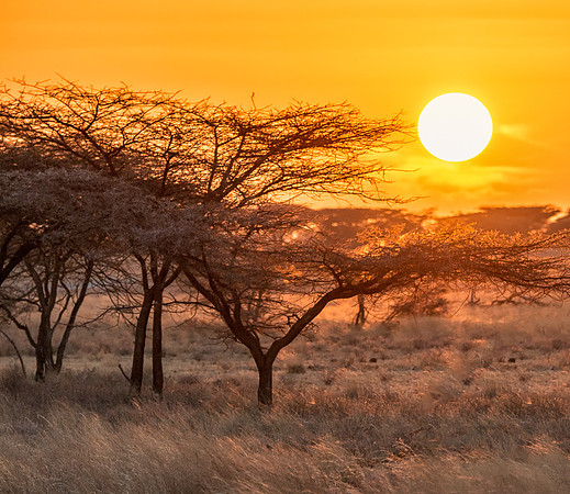 20130909_Kenya_0002
