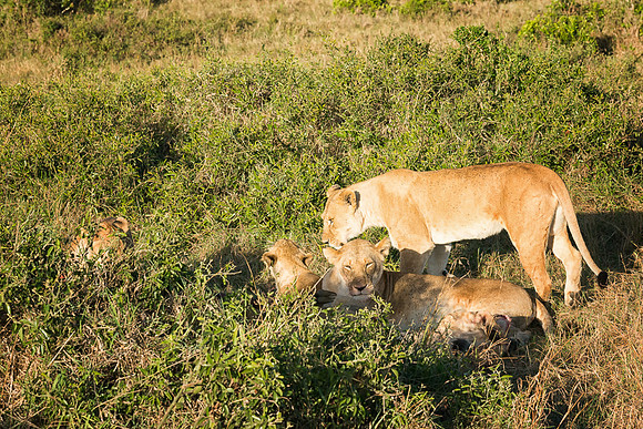 20130913_Kenya_0006-5