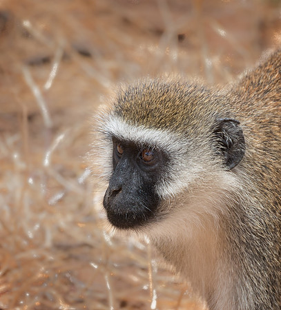 20130909_Kenya_0027