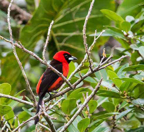 20150116_Ecuador_0014