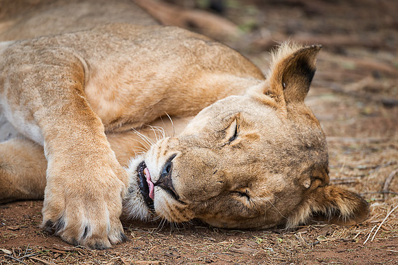 20130909_Kenya_0018-2