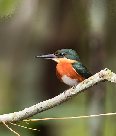 20150118_Ecuador_0021