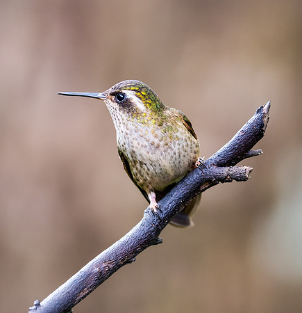 20150106_Ecuador_0001