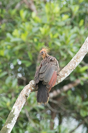 20150116_Ecuador_0012