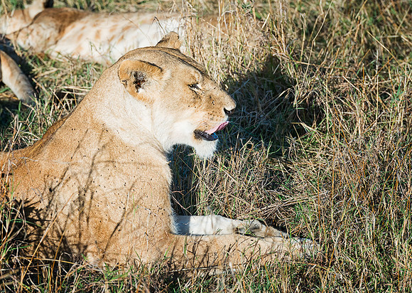 20130913_Kenya_0003-2