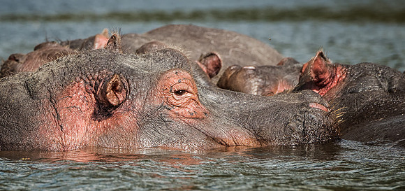 20130912_Kenya_0038
