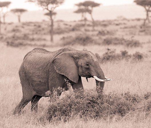20130919_Kenya_0064