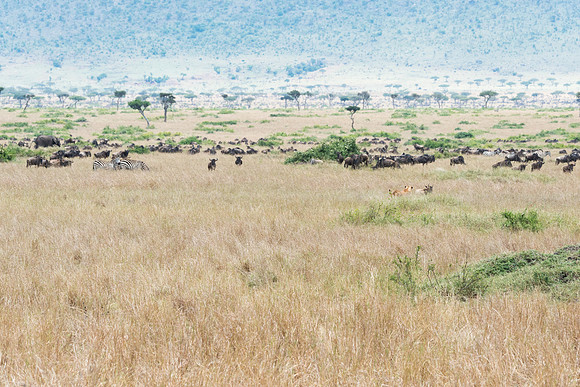 20130919_Kenya_0029