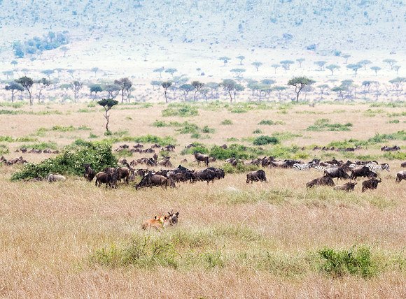 20130919_Kenya_0028
