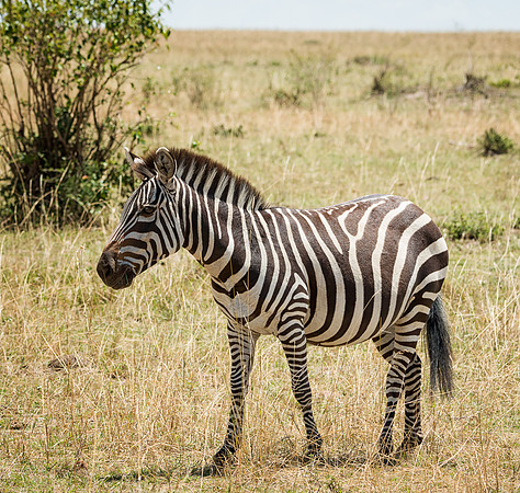 20130913_Kenya_0023