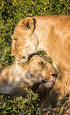 20130913_Kenya_0003-5