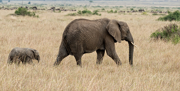 20130919_Kenya_0053