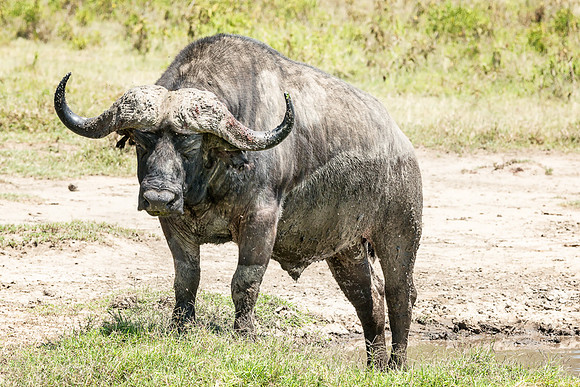 20130911_Kenya_0004-2