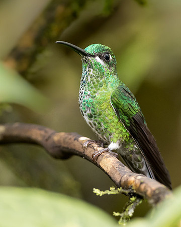20150107_Ecuador_0010