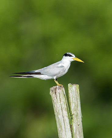 20150117_Ecuador_0016