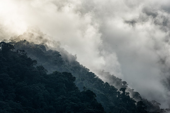 20150108_Ecuador_0001