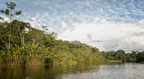 20150118_Ecuador_0022