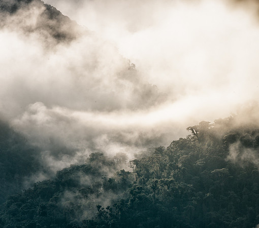 20150108_Ecuador_0001